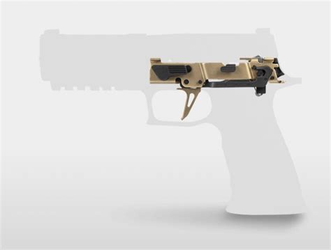 The <strong>P320</strong> -XTEN comes standard with a 5" bull barrel, Xray3 day/night sights, and an XSeries optic-ready slide with front and rear serrations. . Sig p320 fcu frame
